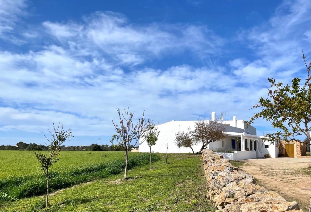 Can Marianet San Ferrán de ses Roques Exteriér fotografie